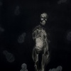 "Researchers Triple Blinded by Complexity"