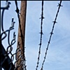 Barbed Wire Jesus is Lord