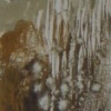 Marshland II