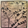 Starlings III