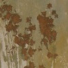 Grasses III