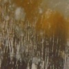 Marshland III