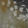 Marshland I