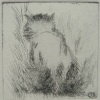 Etchings