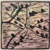 Starlings II