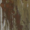 Grasses II