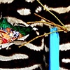 Zebra Skin