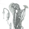 Drawings