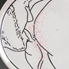 RimWare (pink)