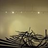 "BIOMORPHIC" The solo show of Gigi BIo @ Art Whino Gallery