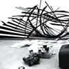 "BIOMORPHIC" The solo show of Gigi BIo @ Art Whino Gallery