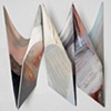 Starling Triad, 2009