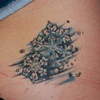 snowflake
