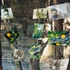the orange tree