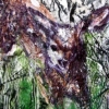 deer in meadow