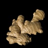 Ginger