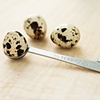 Quail Eggs