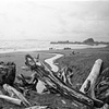 Pacific Coast, Washington