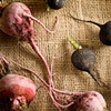 Radishes