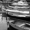 The Italian Series