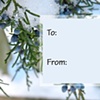 Holiday Gift Tags: Winter Cedar