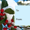 Holiday Gift Tags: Holly Berries