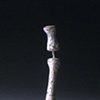 bone study