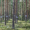 Everyman's Law
Installation H&auml;meenkyr&ouml;, Finland.