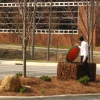 Mulch Pod