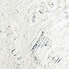 credit card paper - detail