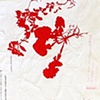 Book detail