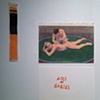 Anal Swastika vs. Genital Holocaust
Elijah Burgher and Steve Reinke