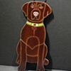 Lab (brown)