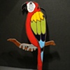 Parrot