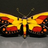 Butterfly (medium)