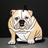 Bulldog