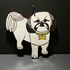 Shihtzu 2