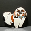 Shihtzu 1
