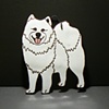 Samoyed (large)