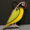 Lovebird