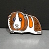 Guinea Pig (xsmall)