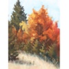 Plein Air Fall Trees I