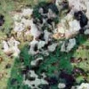 Natural Camouflage Self-Portrait, c.1990s