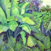 Kauai Landscape