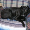 Rita in her favorite chair