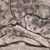 Panorama - individual tile 6
