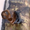 Escape From Fire Mountain