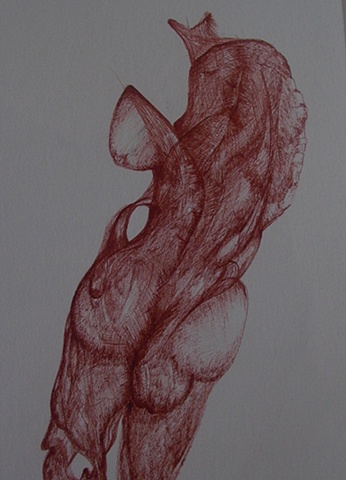 ANATOMY 3