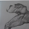 ANATOMY 1