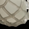 Diatoms (detail)
